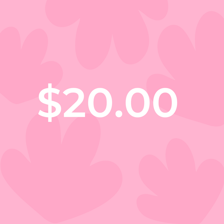 $20.00
