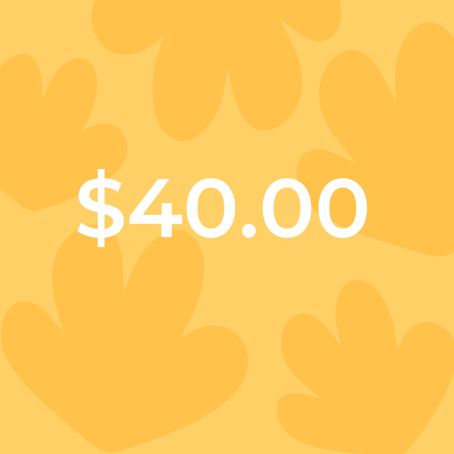 $40.00